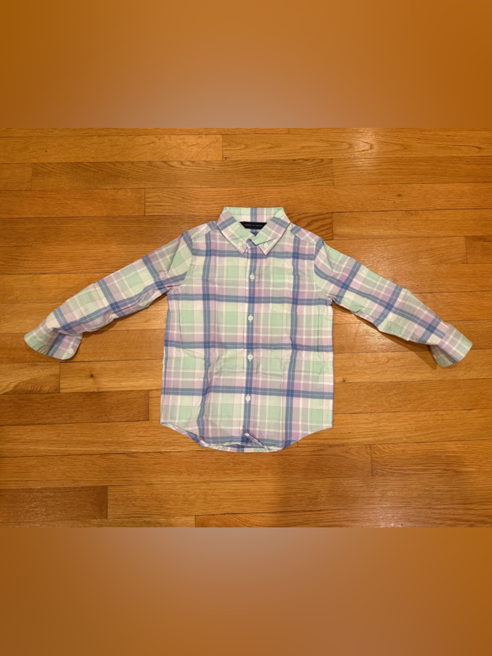Janie and Jack 3T Button-Down Shirt - Light Green & Lavender
